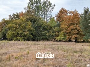 53173903  – Terrain à PARENTIS EN BORN