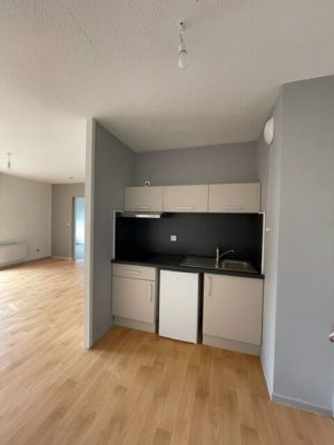 53165786  – Appartement – 2 pièces à MONT DE MARSAN