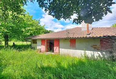 53175653  – Maison – 4 pièces à SANGUINET