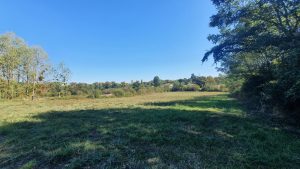 53175040  – Maison – 5 pièces à HAGETMAU