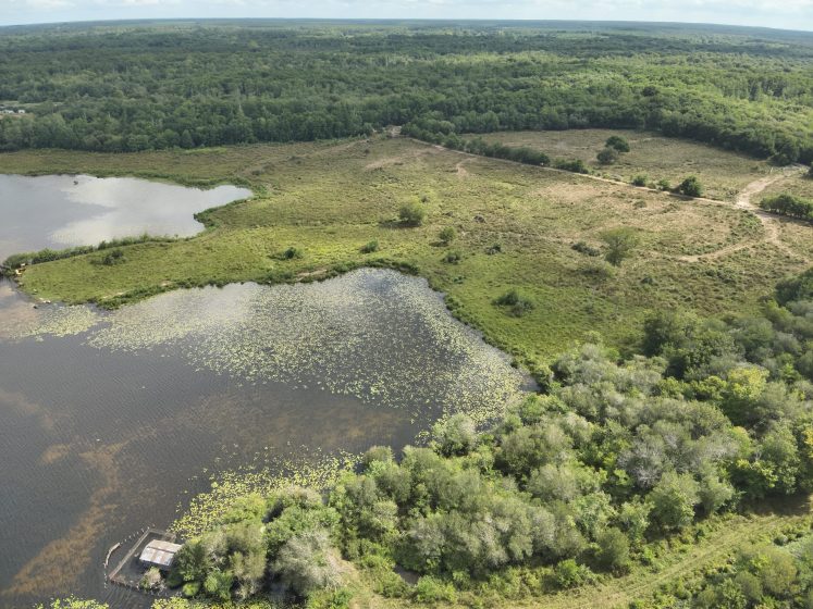 Automne en scène : Sortie nature dans les zones humides de l&rsquo;étang d&rsquo;Aureilhan