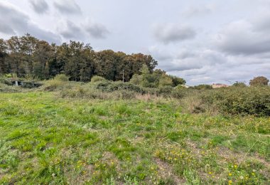 53181187  – Terrain à MONT DE MARSAN