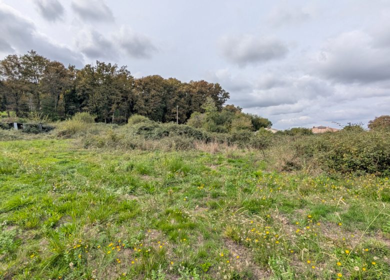 53181187  – Terrain à MONT DE MARSAN