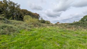 53181187  – Terrain à MONT DE MARSAN