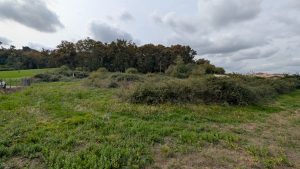53181187  – Terrain à MONT DE MARSAN