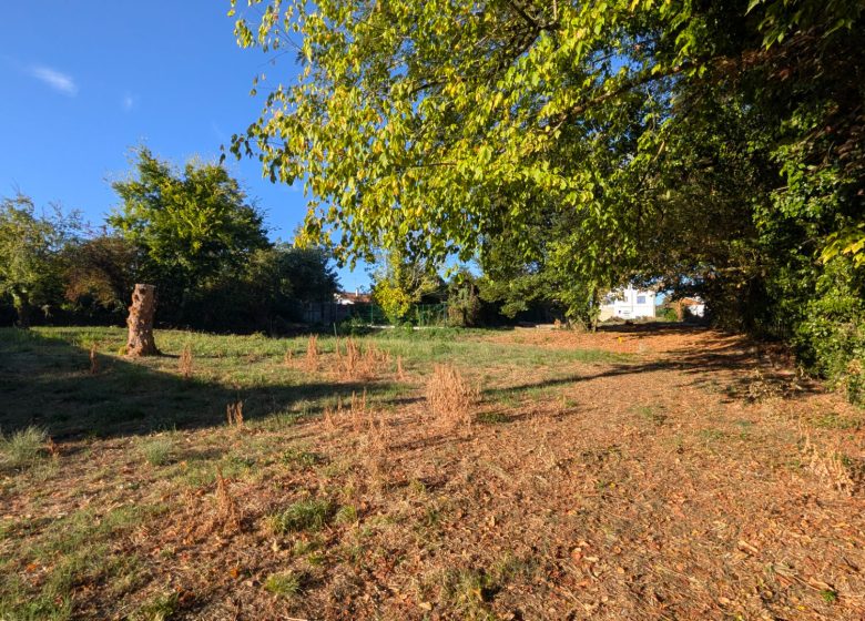 53181066  – Terrain à MONT DE MARSAN