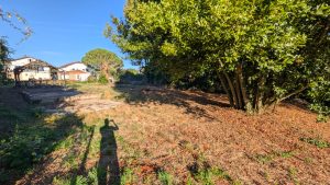 53181183  – Terrain à MONT DE MARSAN