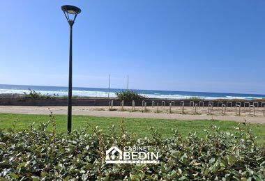 53188592  – Appartement – 2 pièces à MIMIZAN