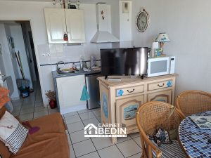 53188592  – Appartement – 2 pièces à MIMIZAN