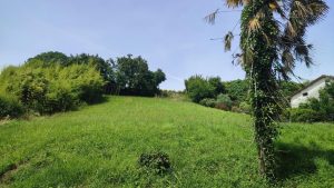 52568760  – Terrain à LABATUT