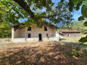 53198349  – Maison – 4 pièces à BOURRIOT BERGONCE