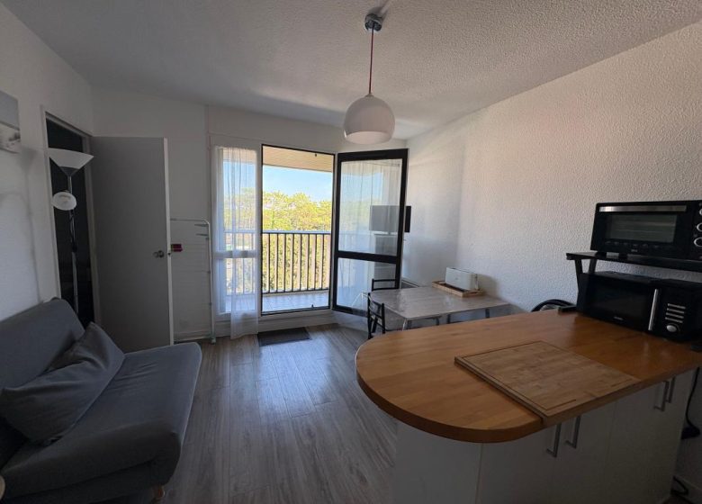 53198419  – Appartement – 2 pièces à SEIGNOSSE