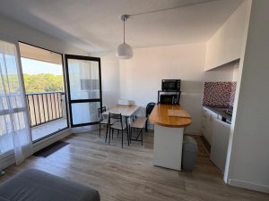 53198419  – Appartement – 2 pièces à SEIGNOSSE
