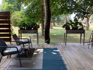 Chalet Hosta