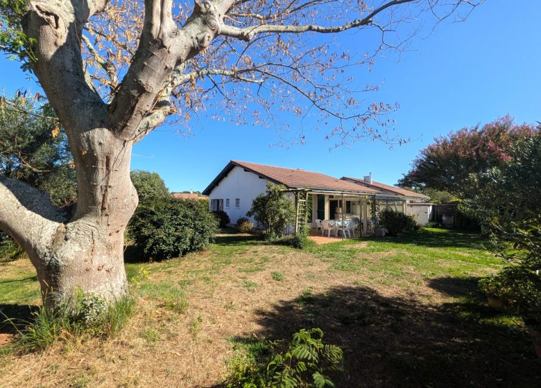 53197080  – Maison – 3 pièces à ONDRES