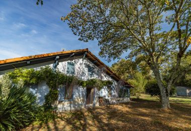 53200805  – Maison – 16 pièces à LUGLON