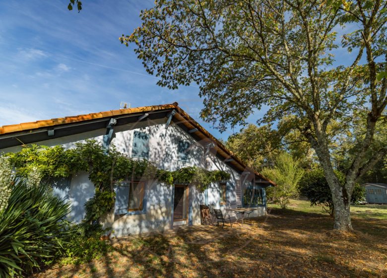 53200805  – Maison – 16 pièces à LUGLON