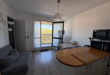 53198419  – Appartement – 2 pièces à SEIGNOSSE