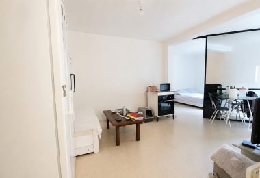 53202549  – Appartement – 2 pièces à MONT DE MARSAN