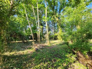 51951092  – Terrain à SANGUINET