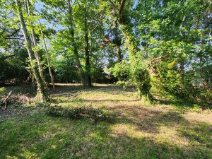 51951092  – Terrain à SANGUINET