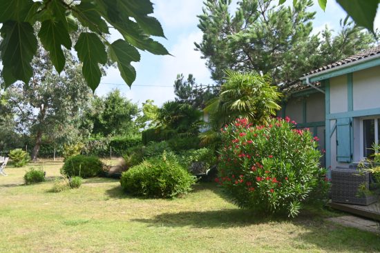 Le Mas des Landes – Gite Bois flotté