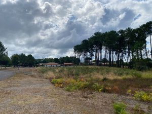 53204311  – Terrain à RION DES LANDES