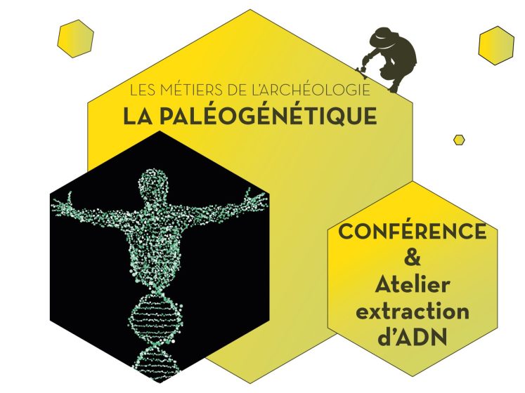 La paléogénétique – Les métiers de l&rsquo;archéologie