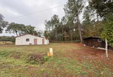 53207810  – Maison – 4 pièces à VIELLE SOUBIRAN