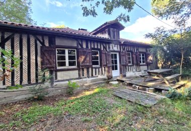 53208693  – Maison – 5 pièces à LINXE