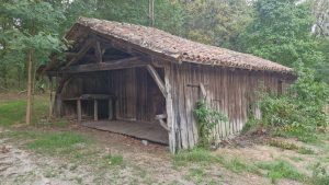 53208693  – Maison – 5 pièces à LINXE