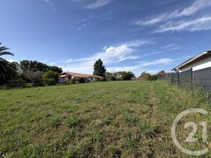 53210806  – Terrain à ST MARTIN DE SEIGNANX