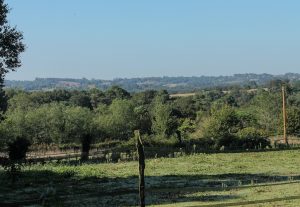 Domaine de Taule