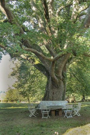 Domaine de Taule