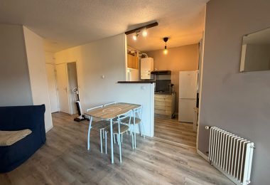 53212151  – Appartement – 2 pièces à MONT DE MARSAN