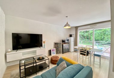 51478618  – Appartement – 2 pièces à MONT DE MARSAN