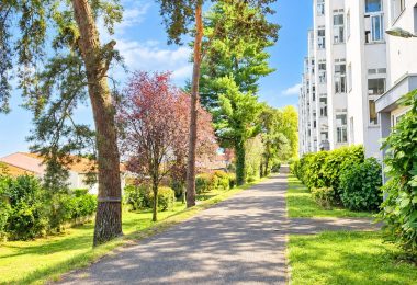 53179192  – Appartement – 3 pièces à PAU