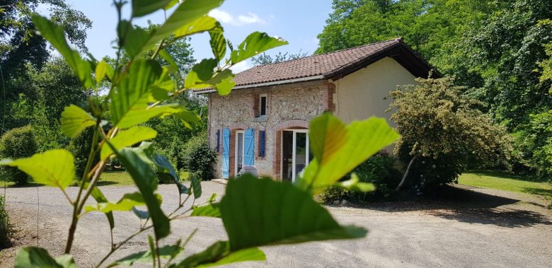 Gite Laplante, ferme chevaux