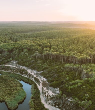 Les dossiers de Presse & les communiqués de Presse