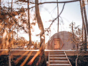 Ocean Shelter