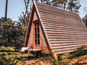 Ocean Shelter