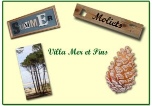 Villa Mer et Pins