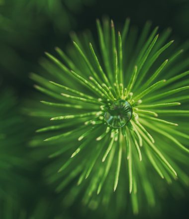 Les événements de la Marque LandeS